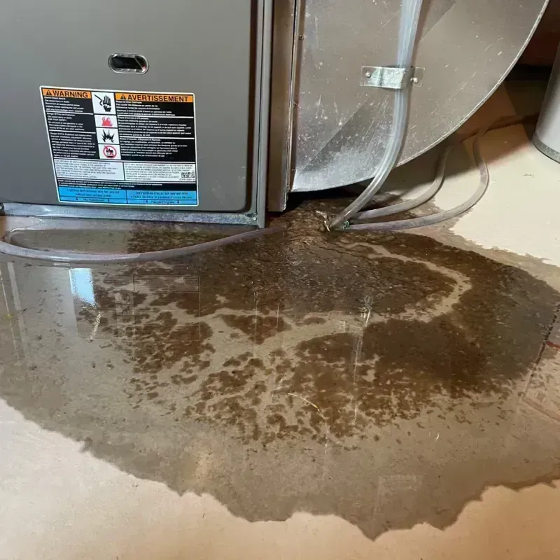 Appliance Leak Cleanup in Jeff Davis County, GA